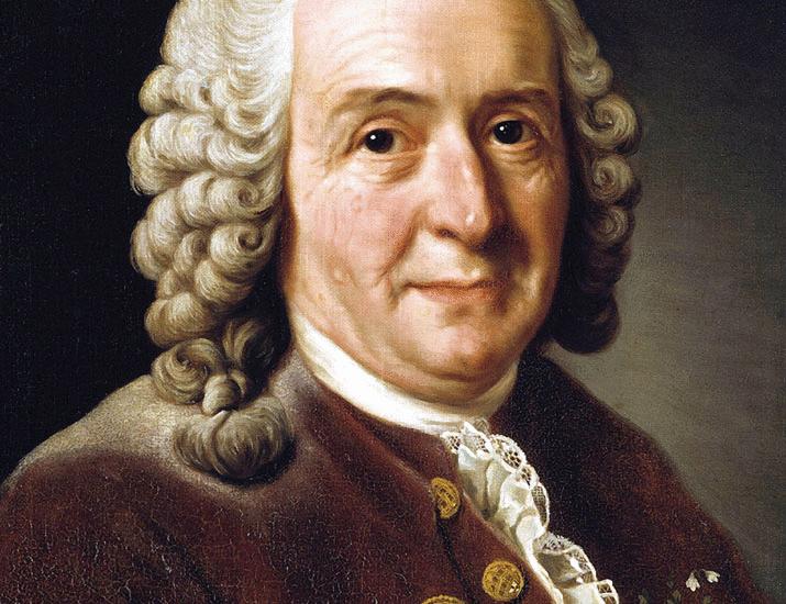 Linnaeus and his life’s work | Science