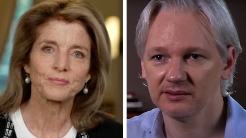 US Ambassador says Julian Assange could receive plea deal, ‘there’s a way to resolve it’