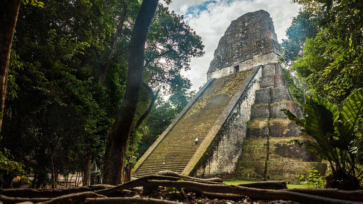 What really caused the collapse of the Mayan civilization?