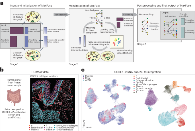 MaxFuse enables data integration across weakly linked spatial and single-cell modalities