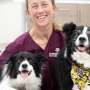 Veterinarians developing frailty instrument to personalize canine geriatric care