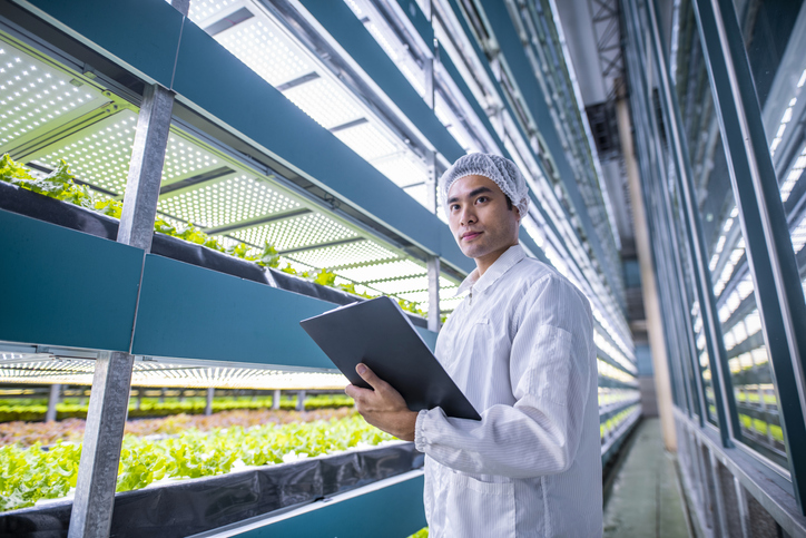 What does AeroFarms re-emergence from Chapter 11 and AppHarvest’s liquidation say about the future of vertical farming?