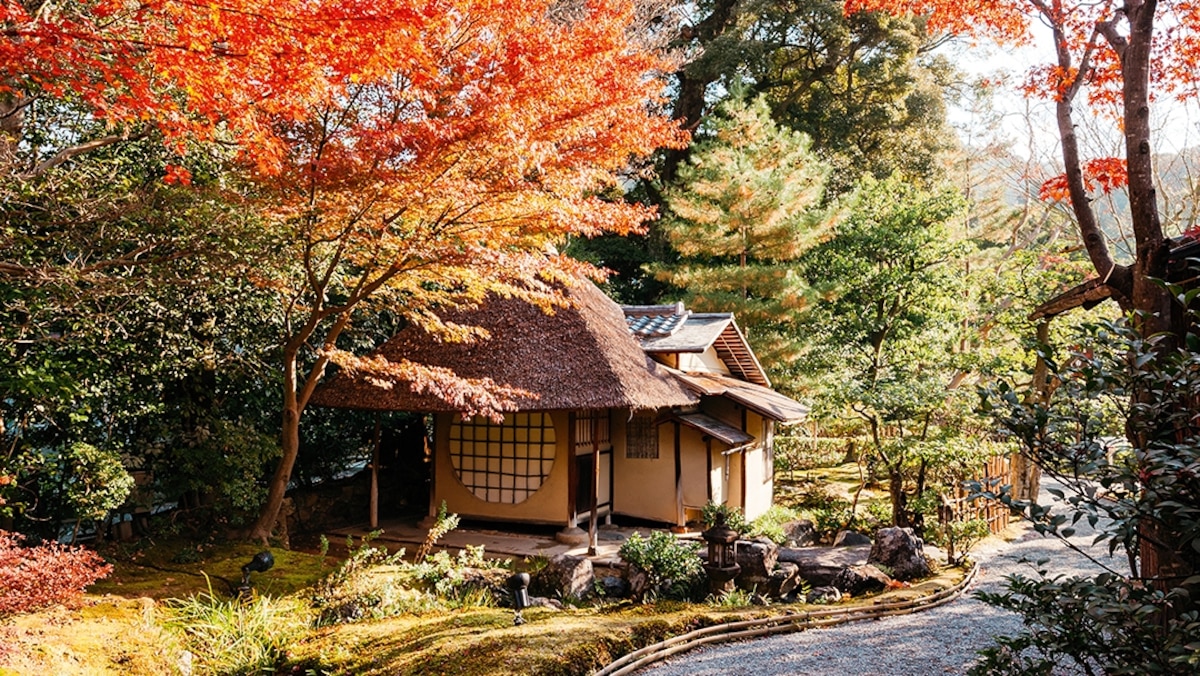 Photo story: autumn leaf-peeping season in Kyoto