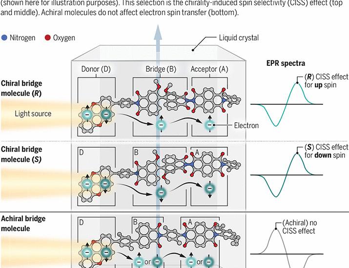 Chiral molecules to transmit electron spin | Science