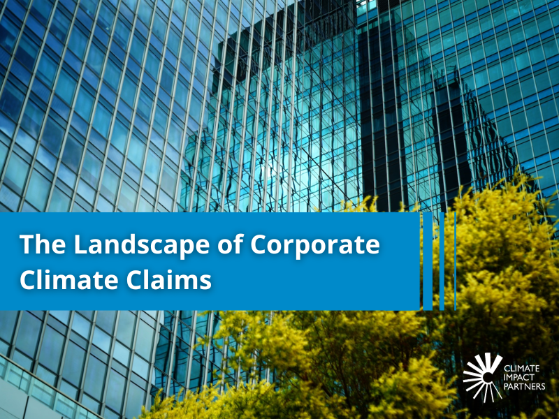 The Landscape of Corporate Climate Claims