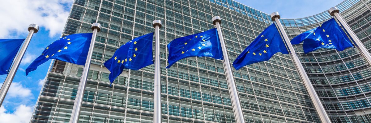 EU digital ID reforms should be ‘actively resisted’, say experts