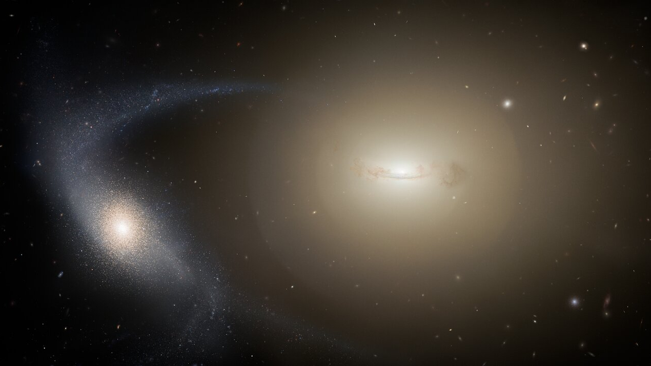 These small galaxies were shredded by their larger siblings — but they survived
