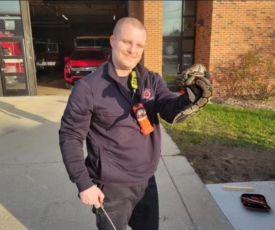 Watch: Wisconsin firefighter helps retrieve pet snake lost inside car