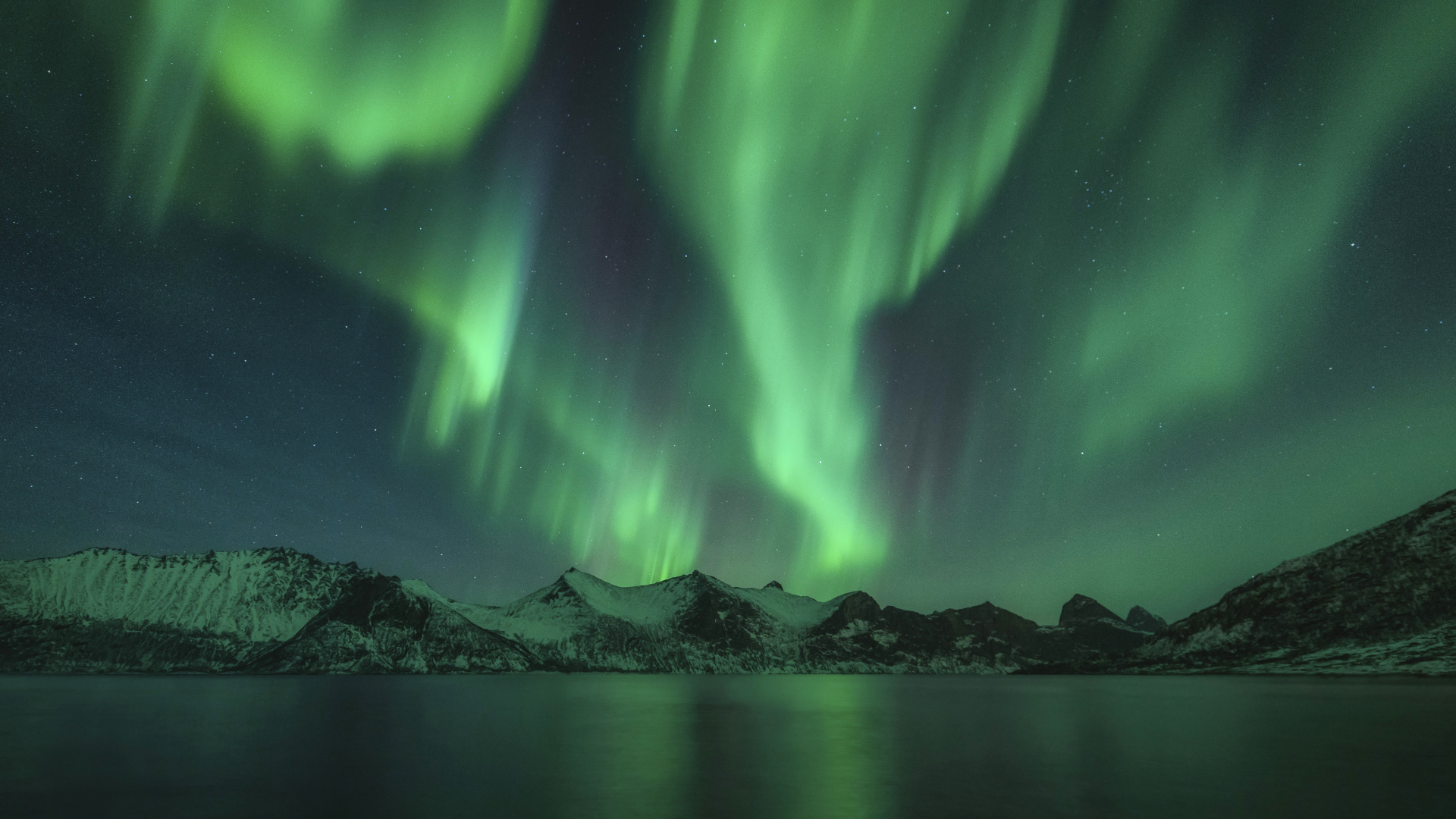 Aurora hunting: What it’s like to chase the northern lights along Norway’s dramatic coastline