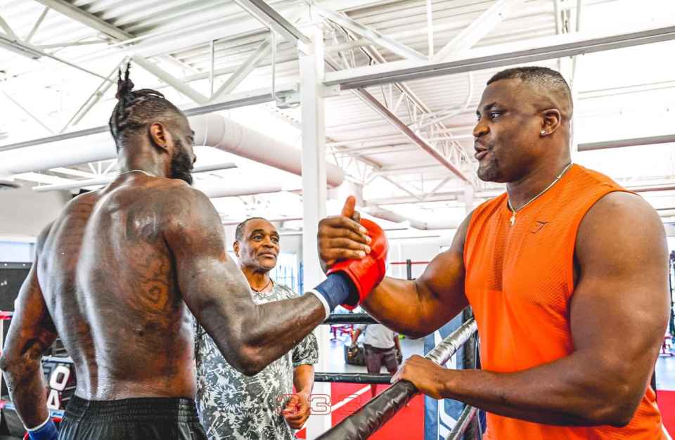 Ngannou: ‘I want Deontay Wilder’s name on my record’