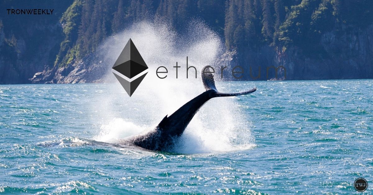 Dormant Ethereum Whales Awaken, Sending Ripples Through Crypto Markets