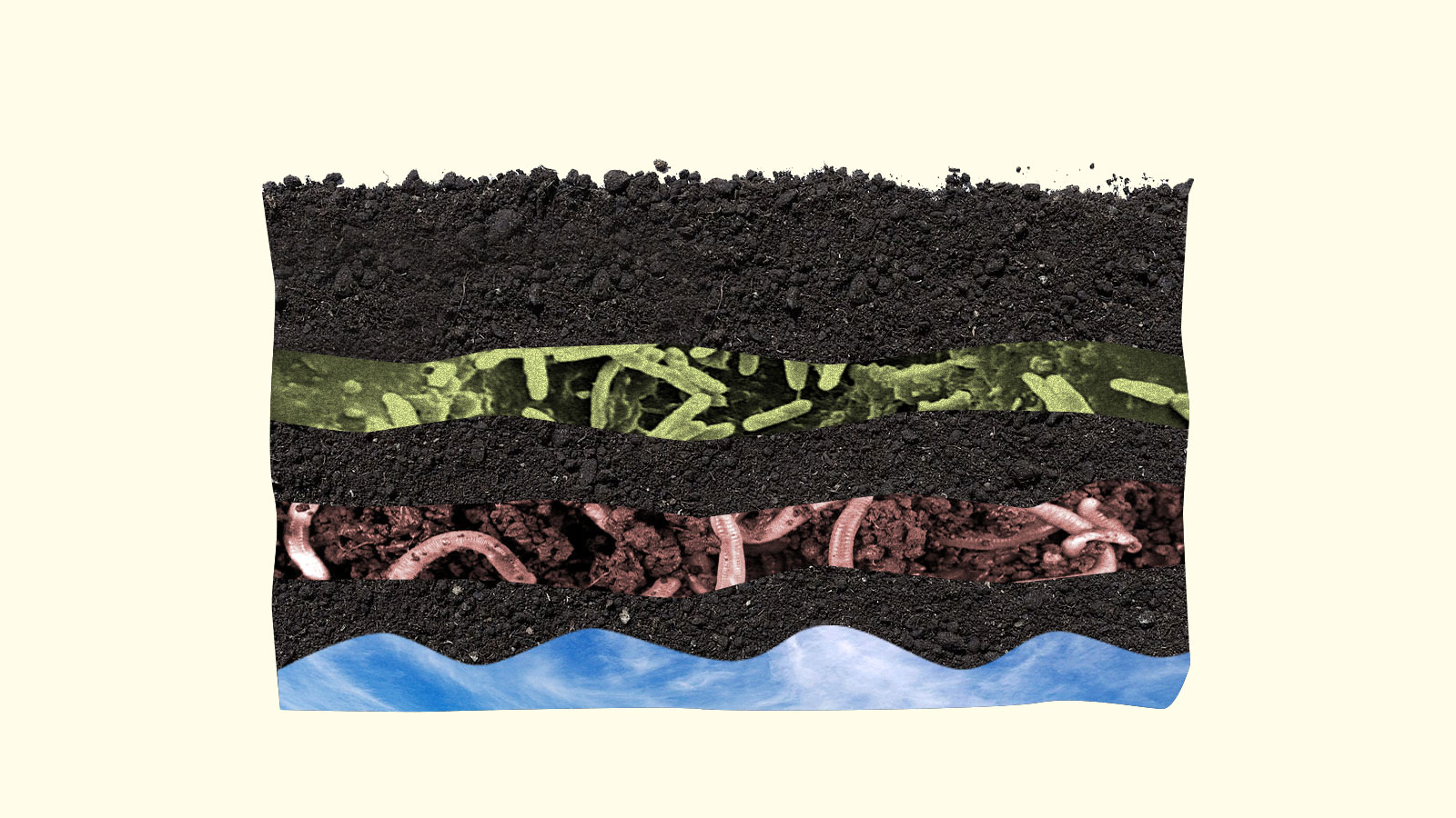 How much carbon can farmers store in their soil? Nobody’s sure.