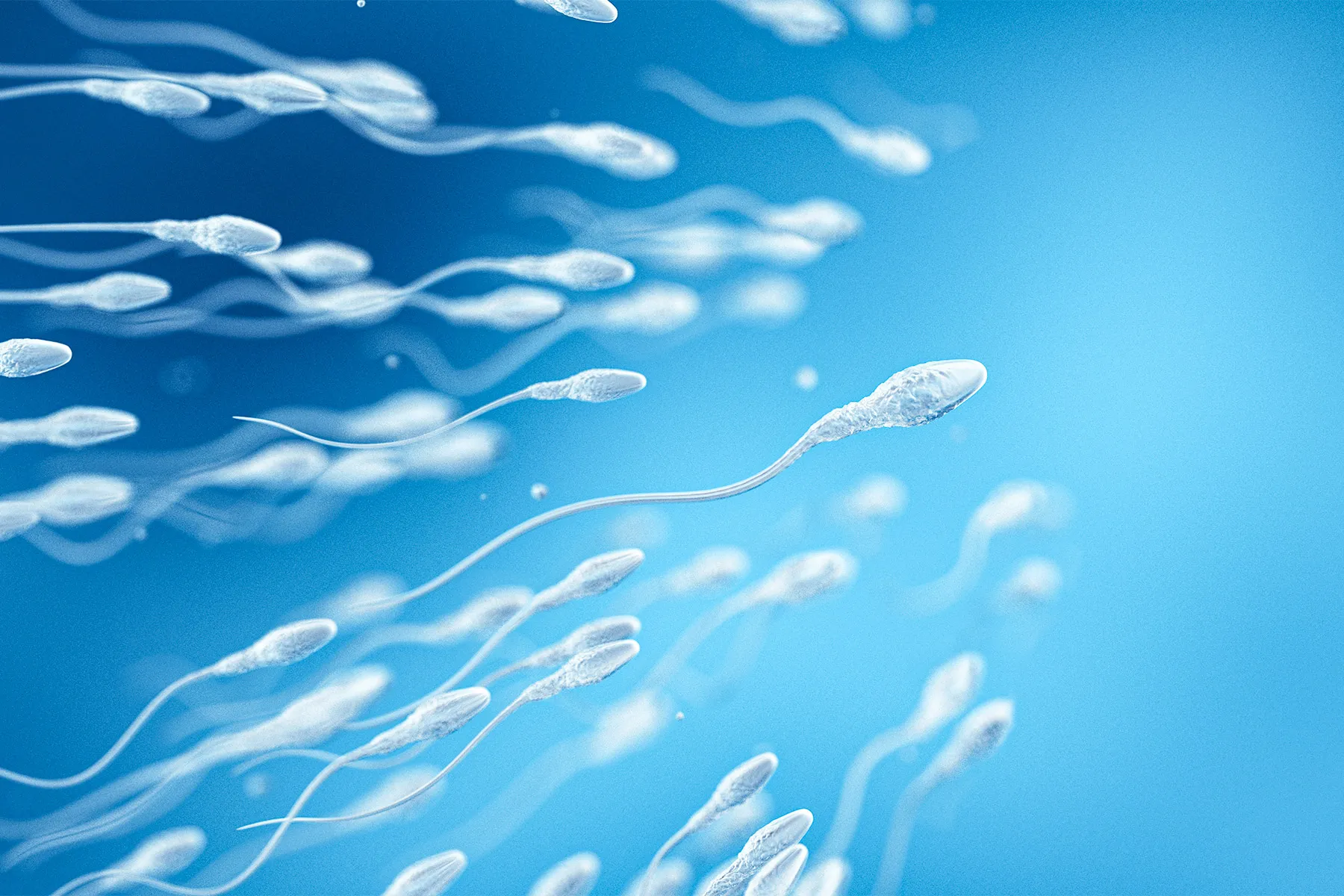Sperm Donors May Not Be as Anonymous as They Think