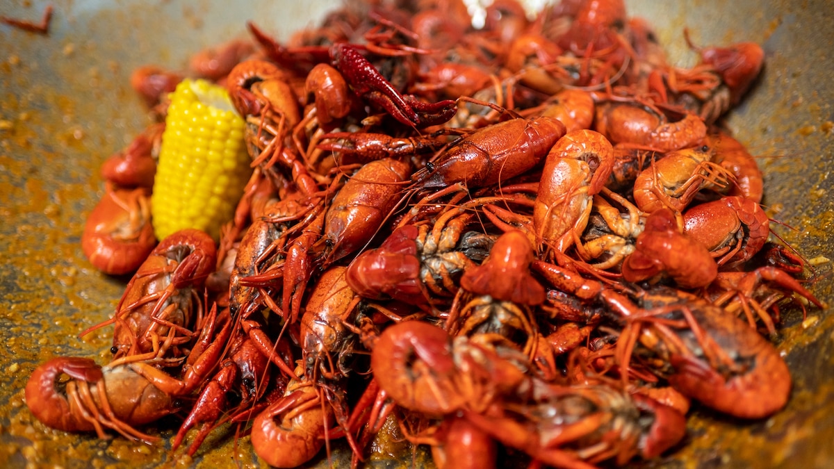 Climate change is hitting the heart of Cajun country—through its crawfish