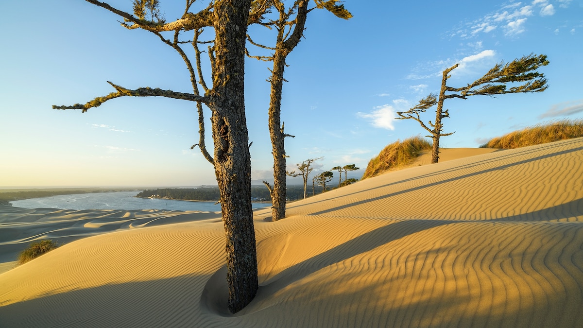 These are the real dunes that inspired Dune—and you can visit them