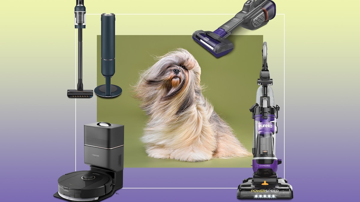 The best vacuums for pet hair in 2024