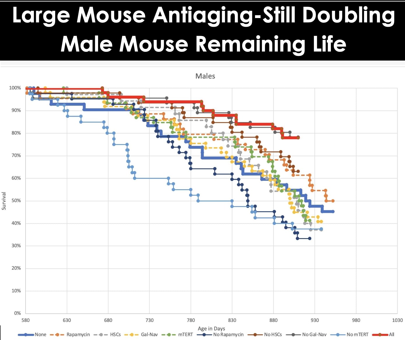 Large Mouse Study Still Tracking to Experimentally Doubling Remaining Life of Middle Age Male Mice