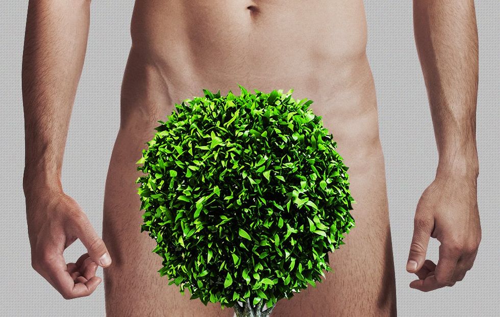 Does Your Pubic Hair Grow Back Faster Than Other Hair? Experts Explain.