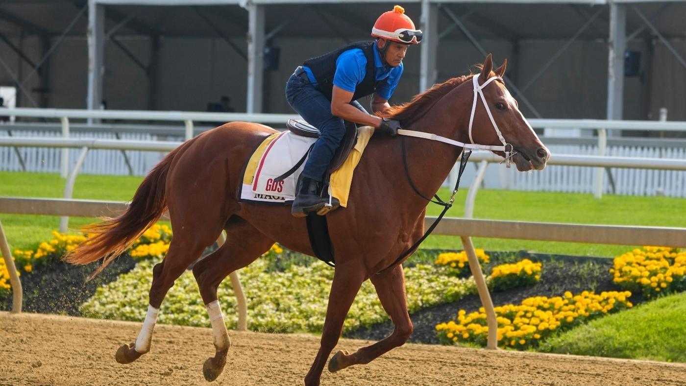 Belmont Stakes 2024: Cheat Sheet for racing form, past performances, odds, post positions, jockeys, post time