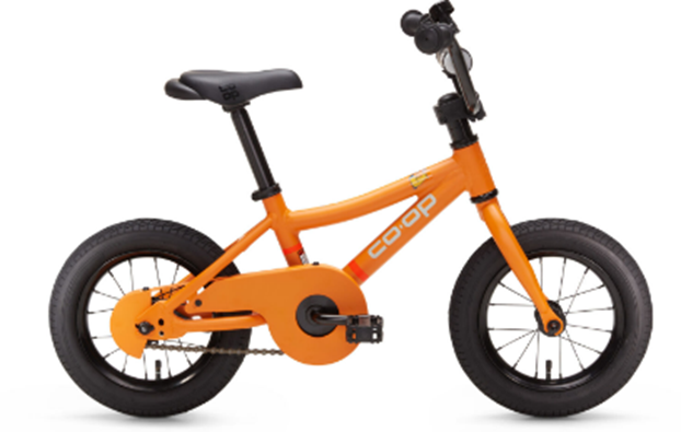 REI Recalls Co-op Cycles REV Children’s Bicycles with Training Wheels Due to Fall and Injury Hazards